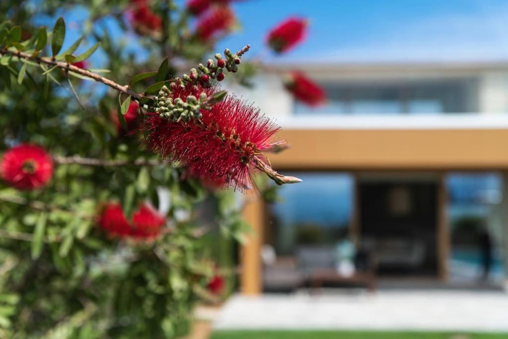 Amare Chania Luxury Residence Sternai Екстер'єр фото